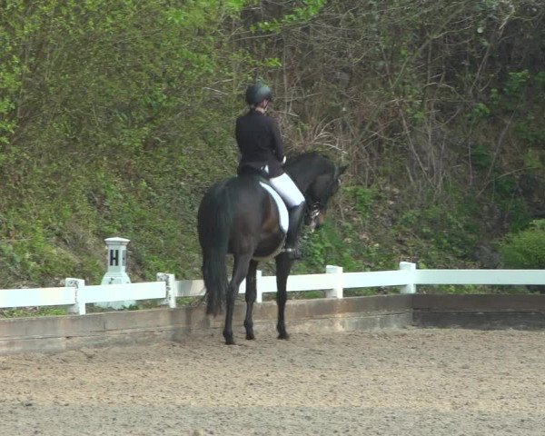 Reitturnier Mettmann - Reitanlage Löckenhoff 2019