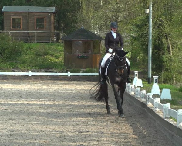 Reitturnier Mettmann - Reitanlage Löckenhoff 2019
