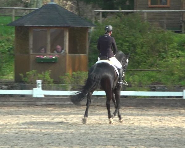 Reitturnier Mettmann - Reitanlage Löckenhoff 2019