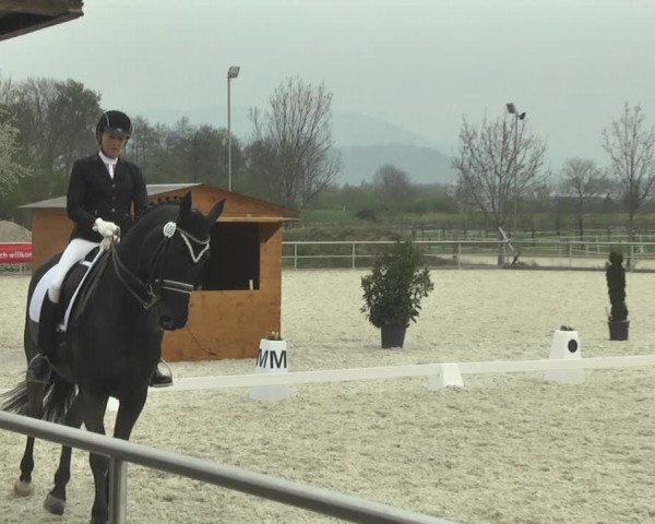Reitturnier Achern 2019