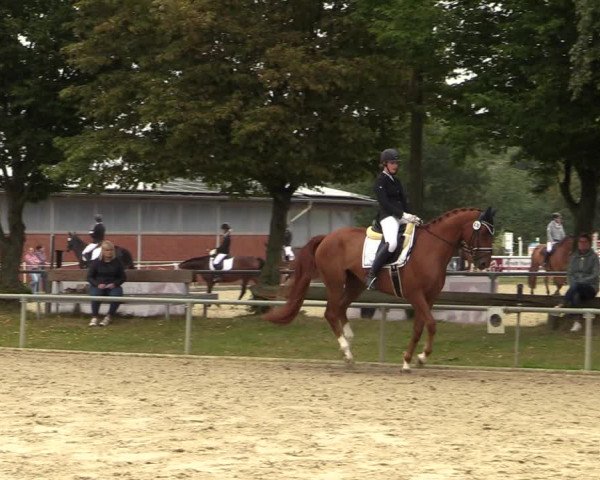 Reitturnier Ascheberg 2021