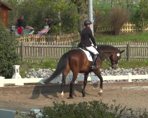 Reitturnier Mettmann - Reitanlage Löckenhoff 2019
