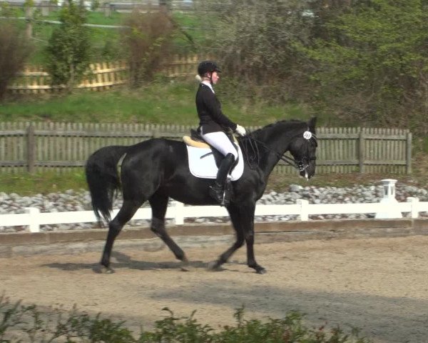 Reitturnier Mettmann - Reitanlage Löckenhoff 2019