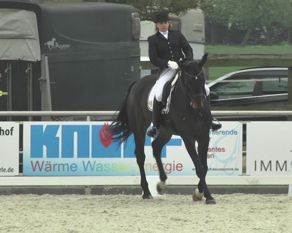 Reitturnier Achern 2019