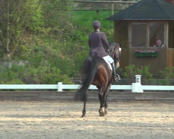 Reitturnier Mettmann - Reitanlage Löckenhoff 2019
