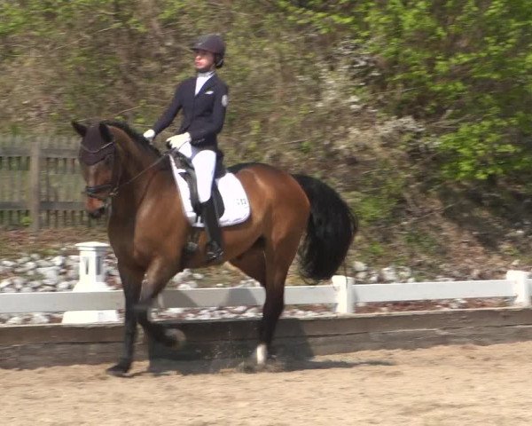 Reitturnier Mettmann - Reitanlage Löckenhoff 2019