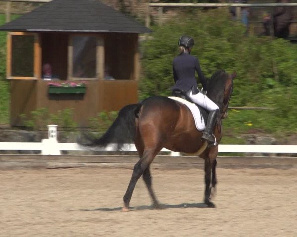 Reitturnier Mettmann - Reitanlage Löckenhoff 2019