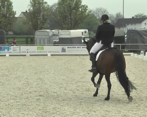 Reitturnier Achern 2019