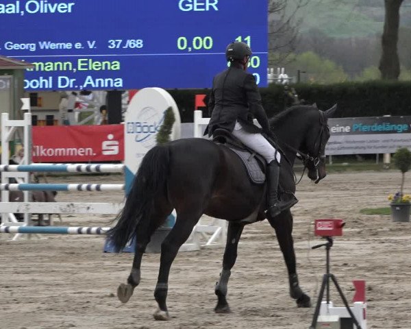 Reitturnier Werne-Lenklar 2019