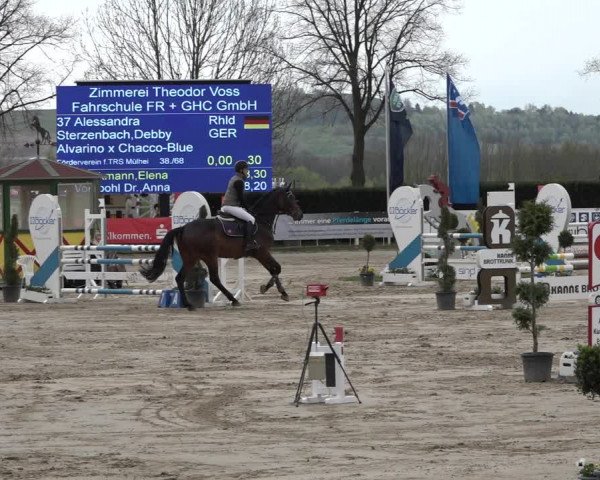 Reitturnier Werne-Lenklar 2019