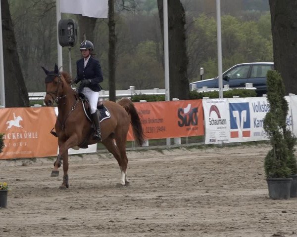 Reitturnier Werne-Lenklar 2019