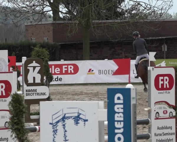 Reitturnier Werne-Lenklar 2019