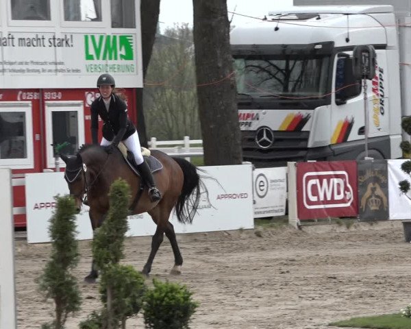 Reitturnier Werne-Lenklar 2019