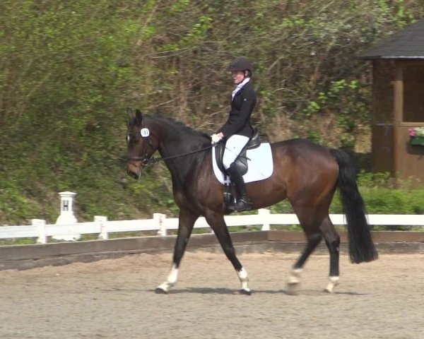 Reitturnier Mettmann - Reitanlage Löckenhoff 2019