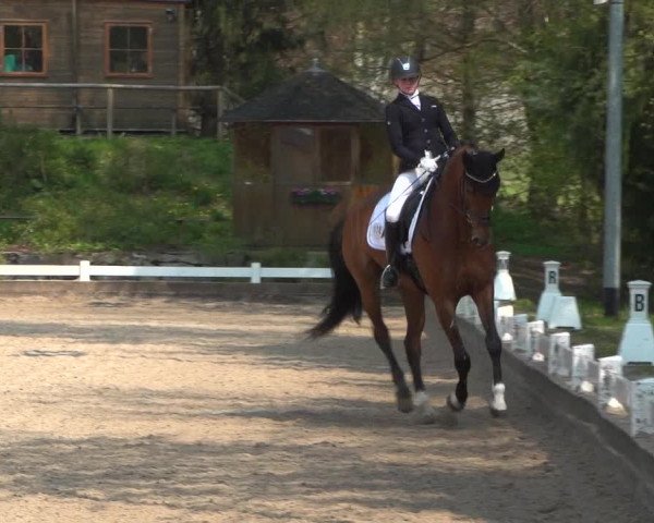 Reitturnier Mettmann - Reitanlage Löckenhoff 2019
