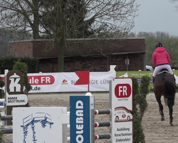 Reitturnier Werne-Lenklar 2019
