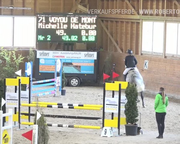 Reitturnier Rüti 2019