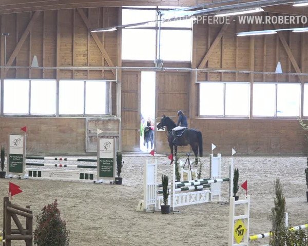 Reitturnier Rüti 2019