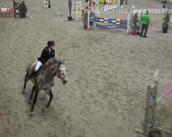 Reitturnier Rüti 2019