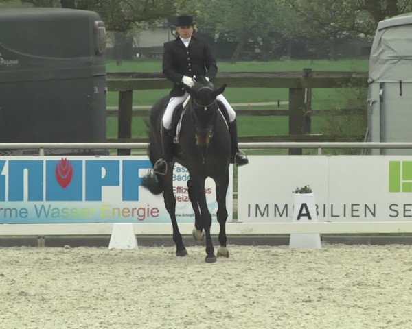 Reitturnier Achern 2019