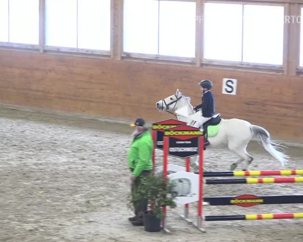 Reitturnier Rüti 2019