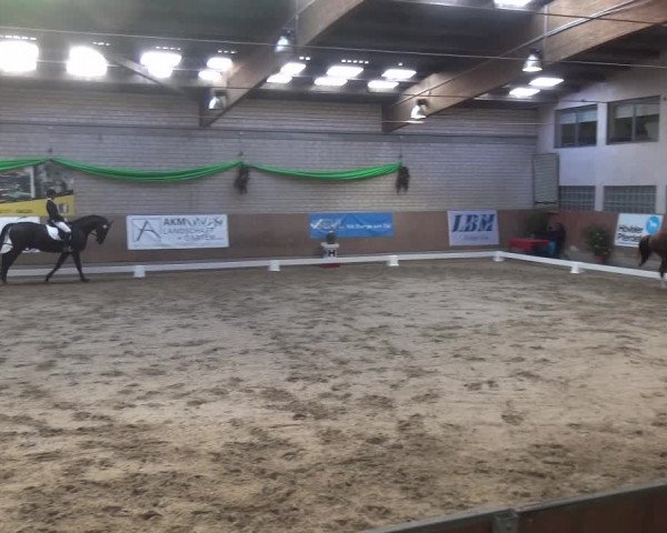 Reitturnier Leverkusen-Rheindorf 2019