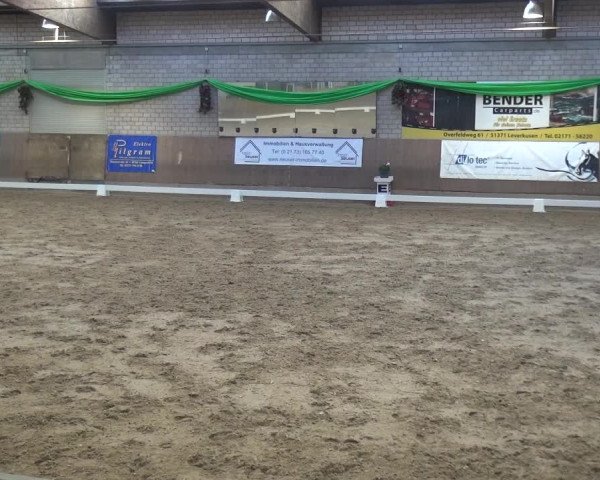 Reitturnier Leverkusen-Rheindorf 2019