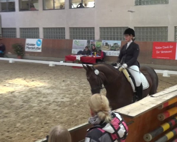 Reitturnier Leverkusen-Rheindorf 2019