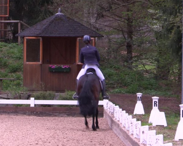 Reitturnier Mettmann - Reitanlage Löckenhoff 2019