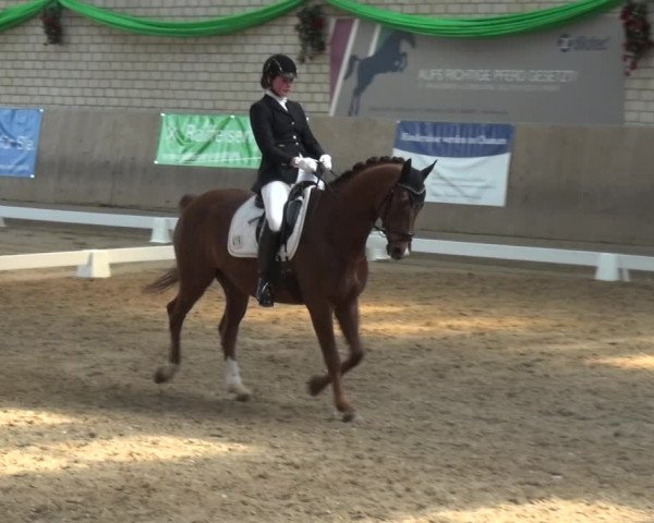 Reitturnier Leverkusen-Rheindorf 2019