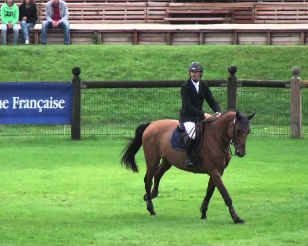 horse Sati de la Violle (Selle Français, 2006, from Lux Z)