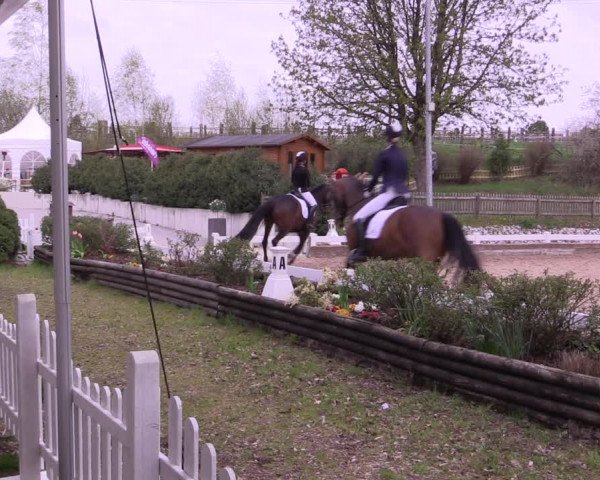 Reitturnier Mettmann - Reitanlage Löckenhoff 2019