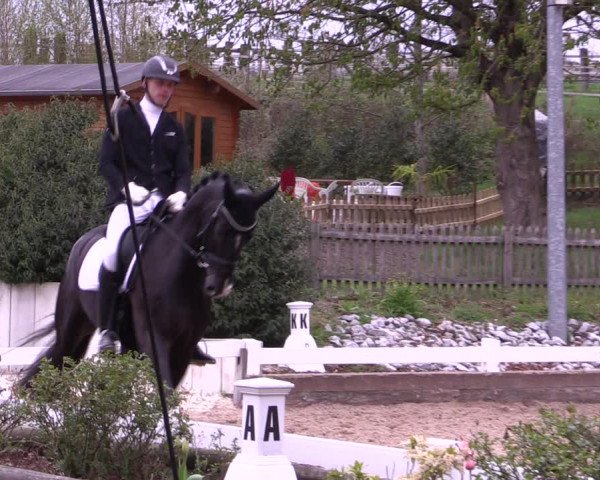 Reitturnier Mettmann - Reitanlage Löckenhoff 2019