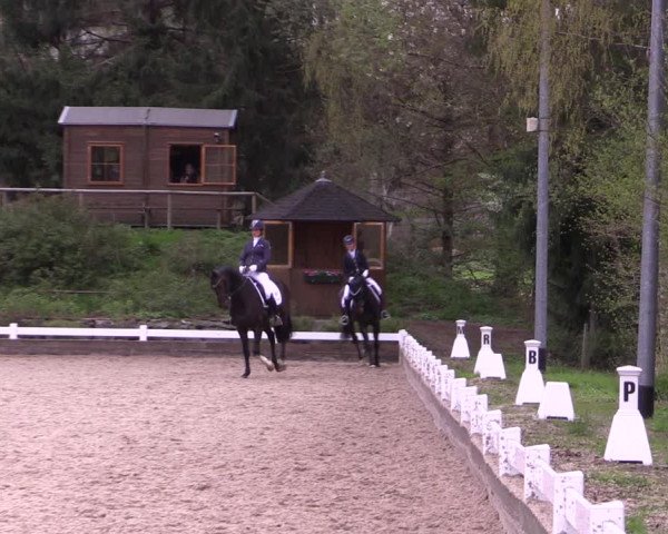 Reitturnier Mettmann - Reitanlage Löckenhoff 2019