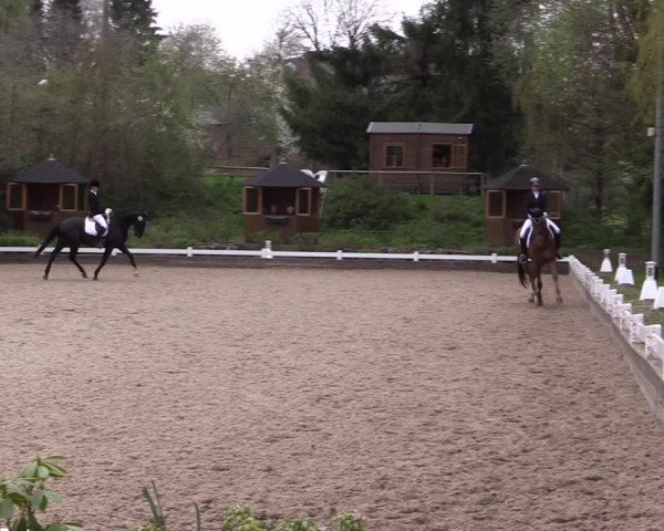 Reitturnier Mettmann - Reitanlage Löckenhoff 2019