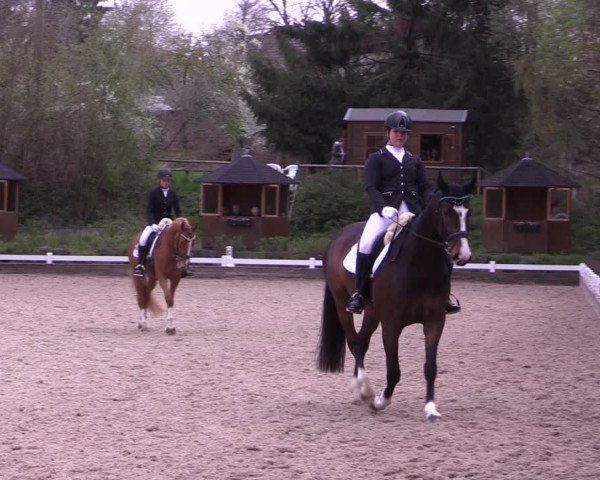 Reitturnier Mettmann - Reitanlage Löckenhoff 2019