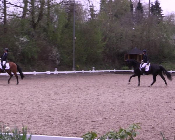 Reitturnier Mettmann - Reitanlage Löckenhoff 2019