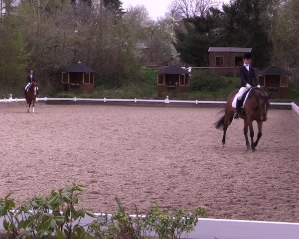 Reitturnier Mettmann - Reitanlage Löckenhoff 2019