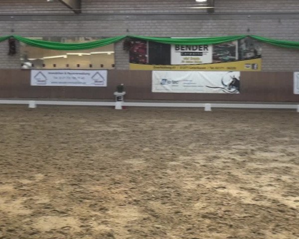Reitturnier Leverkusen-Rheindorf 2019