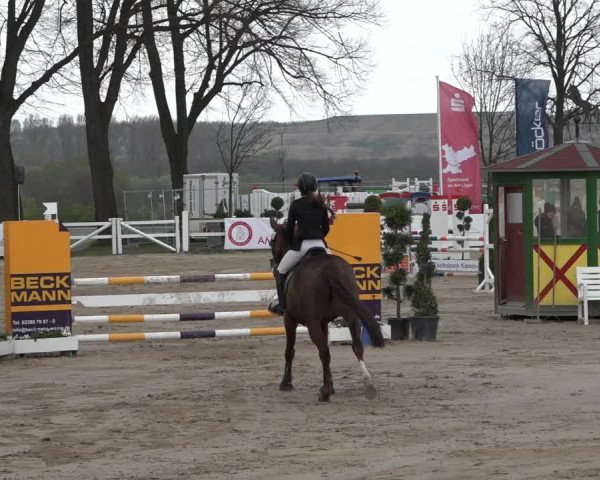 Reitturnier Werne-Lenklar 2019