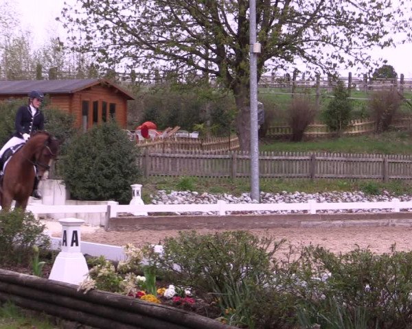 Reitturnier Mettmann - Reitanlage Löckenhoff 2019