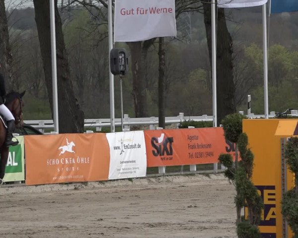 Reitturnier Werne-Lenklar 2019
