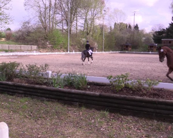 Reitturnier Mettmann - Reitanlage Löckenhoff 2019