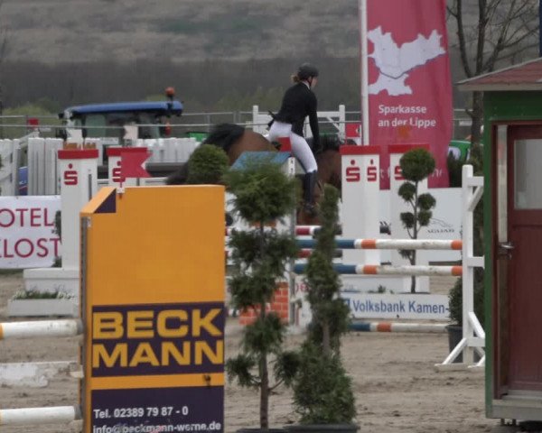 Reitturnier Werne-Lenklar 2019