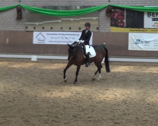 Reitturnier Leverkusen-Rheindorf 2019