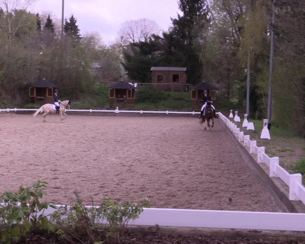 Reitturnier Mettmann - Reitanlage Löckenhoff 2019