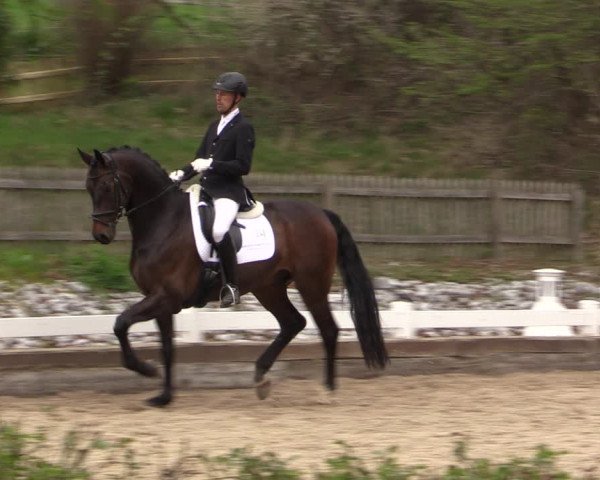 Reitturnier Mettmann - Reitanlage Löckenhoff 2019