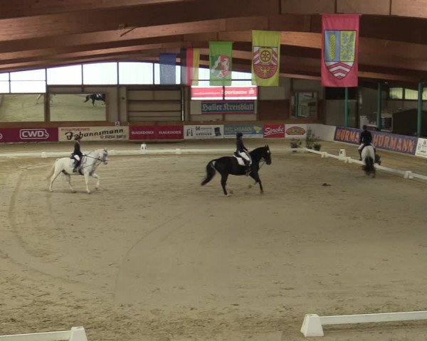 Steinhagen Classics 2021