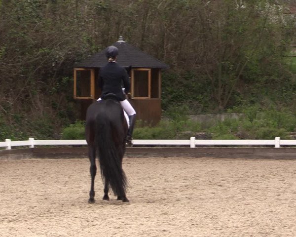 Reitturnier Mettmann - Reitanlage Löckenhoff 2019