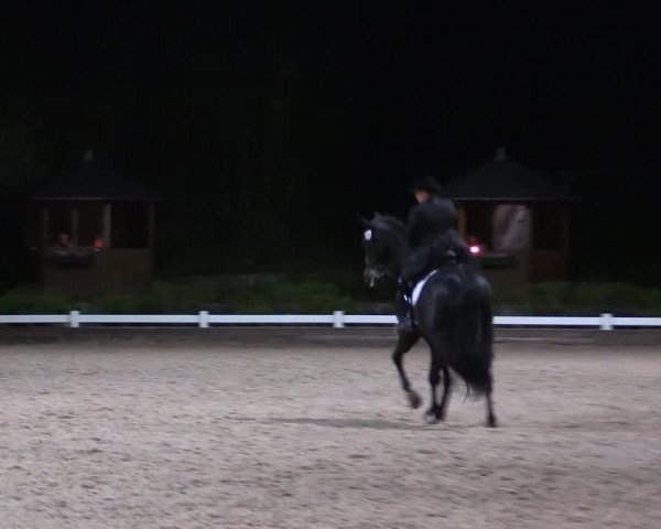 Reitturnier Mettmann - Reitanlage Löckenhoff 2019